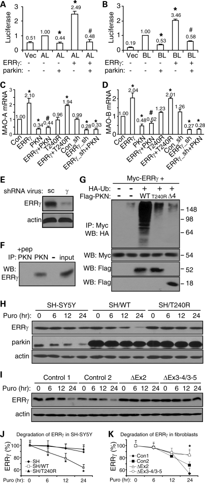 Figure 6.