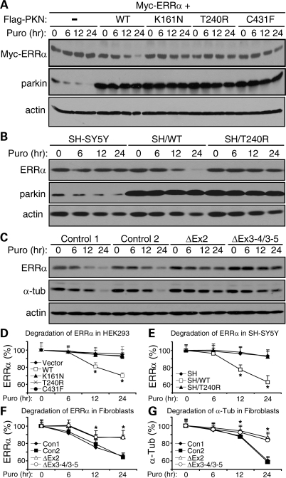 Figure 4.