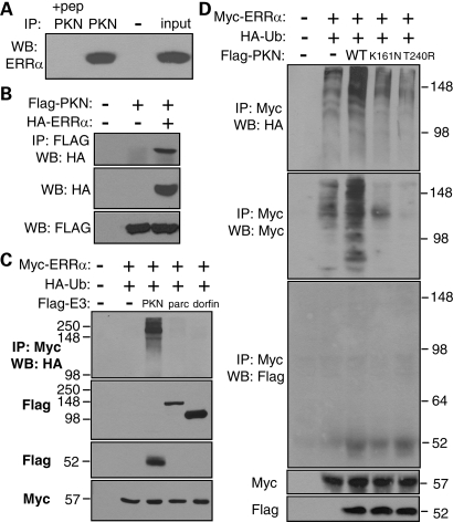 Figure 3.