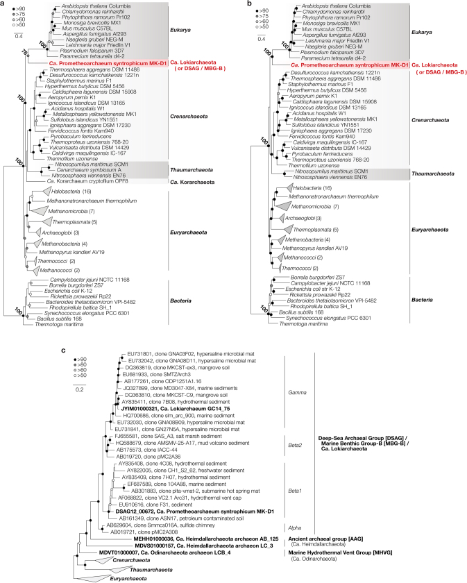 Extended Data Fig. 4