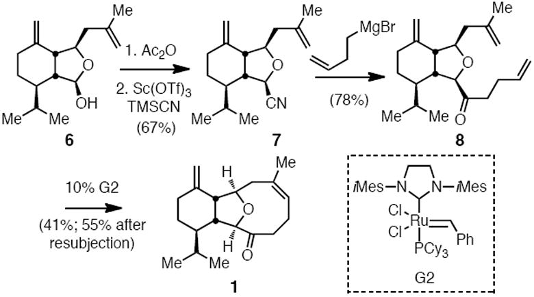 Scheme 3