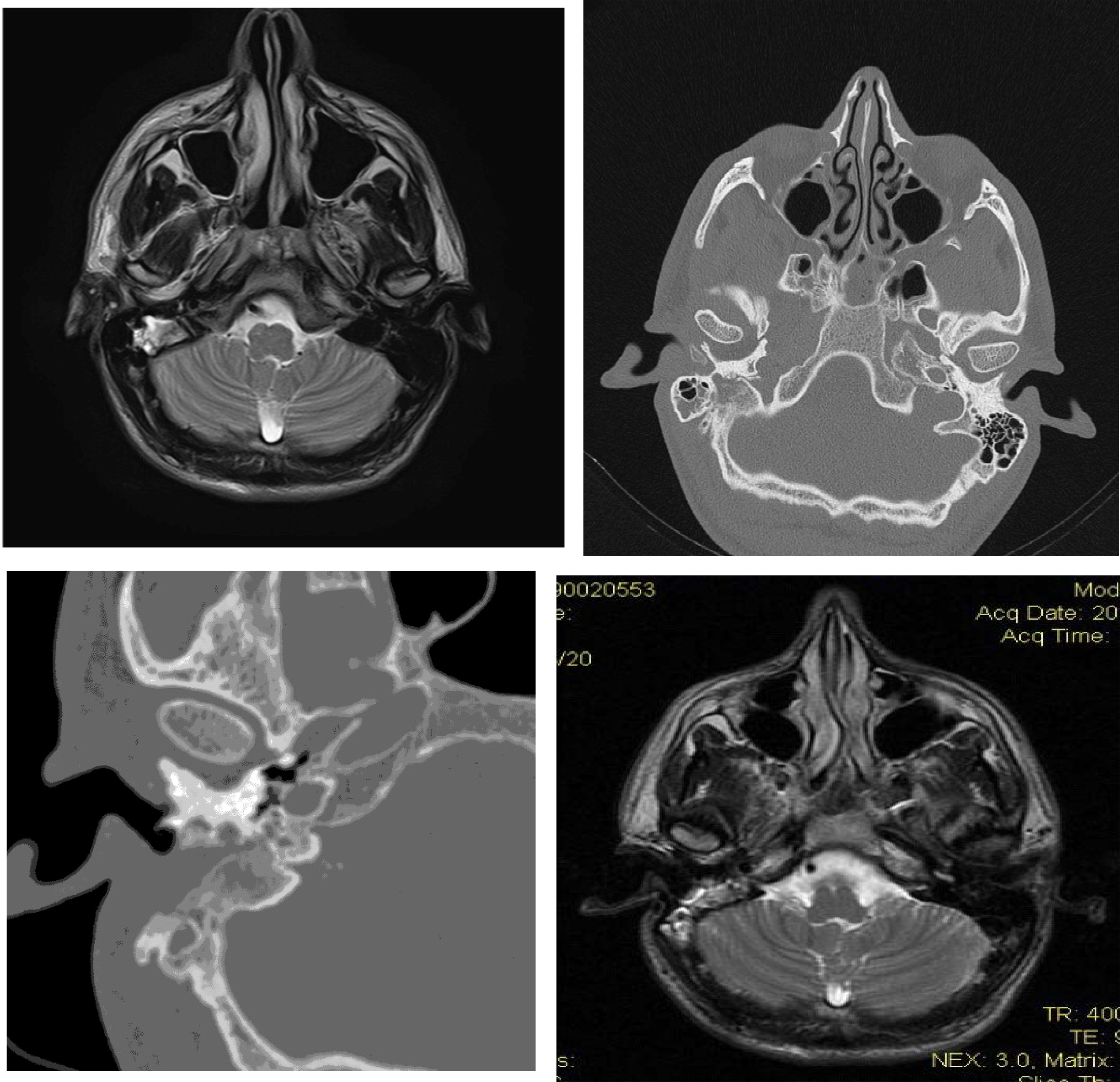 FIGURE 1