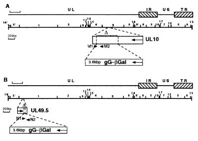 FIG. 1