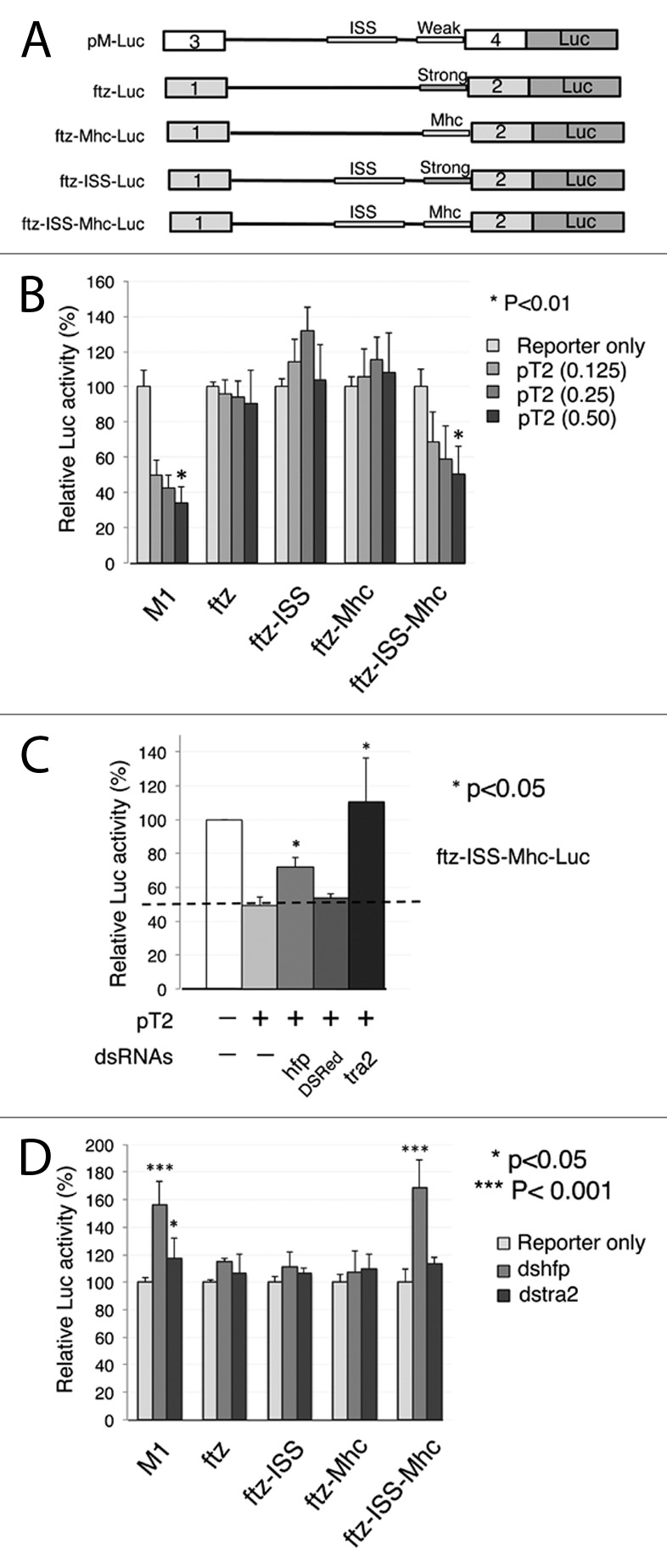 graphic file with name rna-10-1396-g4.jpg