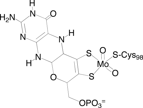 FIGURE 1.