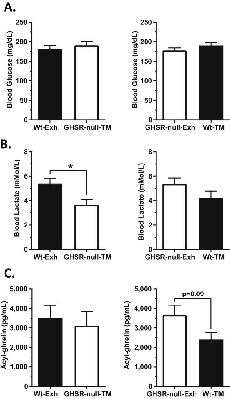 Figure 5