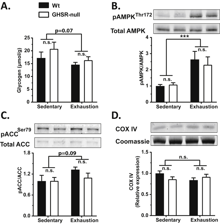 Figure 7