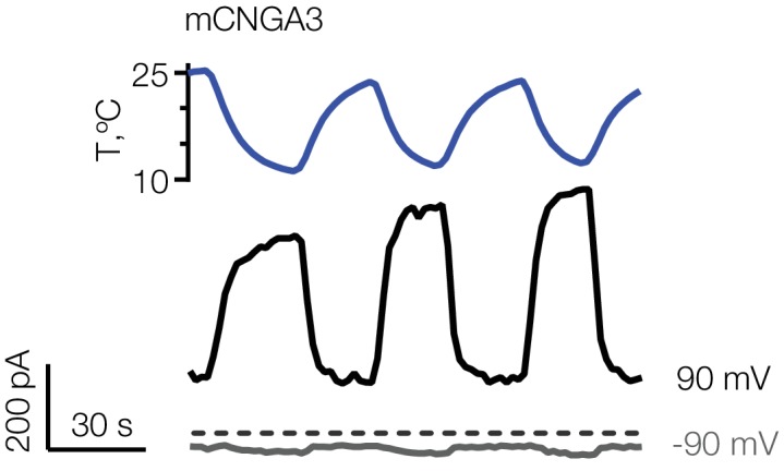 Figure 7—figure supplement 1.