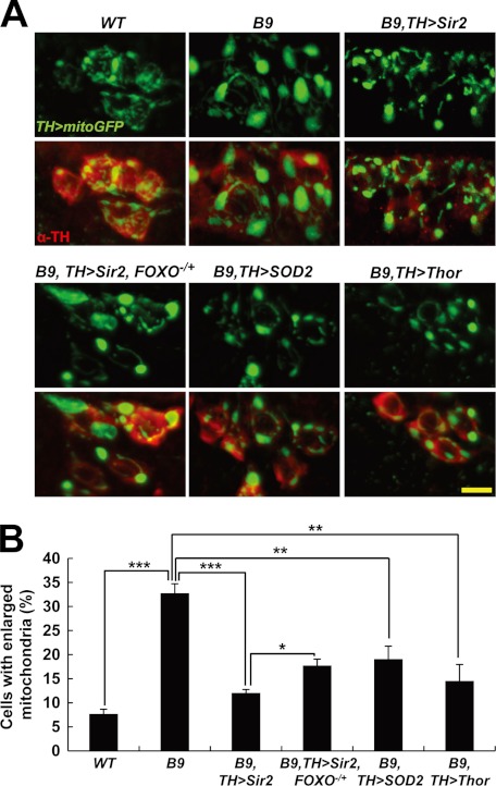 FIGURE 4.