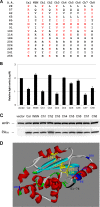 Fig 8