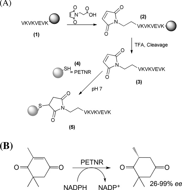 Scheme 2