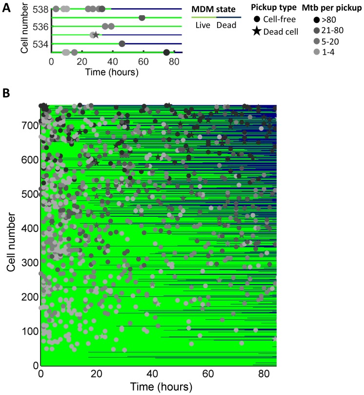 Figure 1—figure supplement 4.