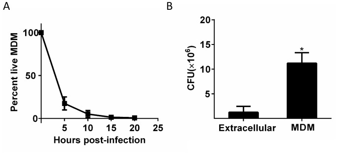 Figure 5—figure supplement 1.