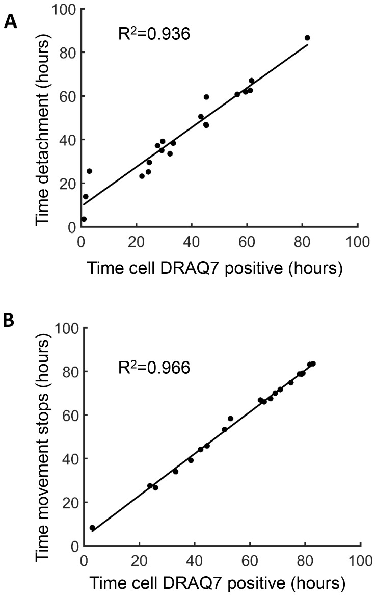 Figure 1—figure supplement 1.