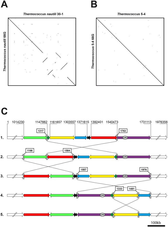 Fig 6