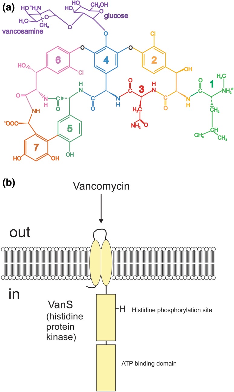 Fig. 4