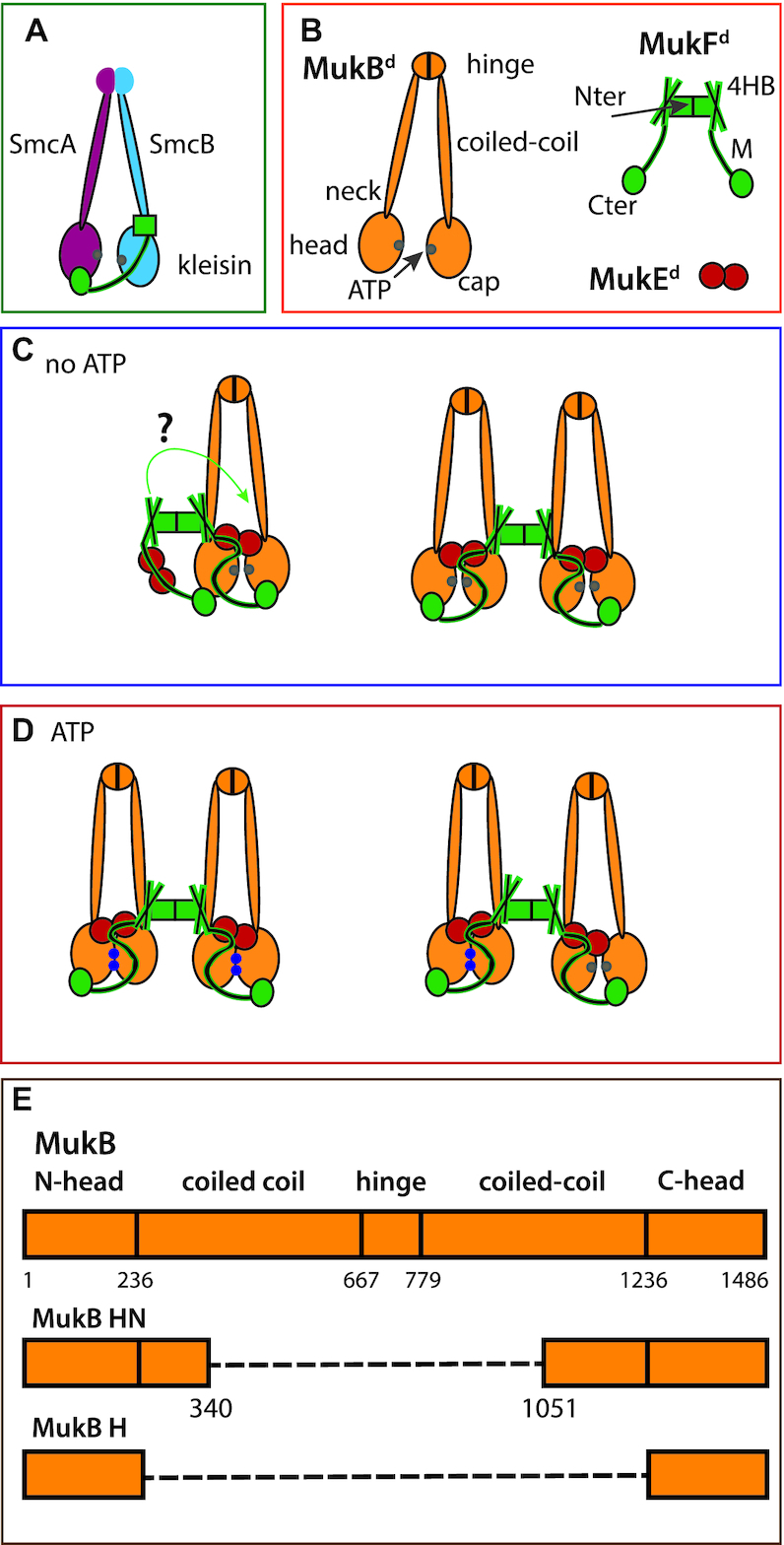 Figure 1.