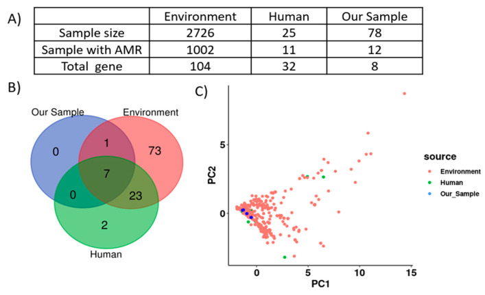 Figure 7