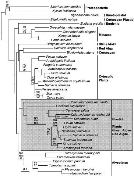 FIG. 1.