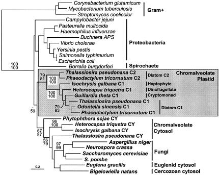 FIG. 3.