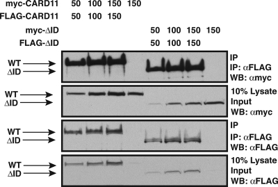 FIG. 7.