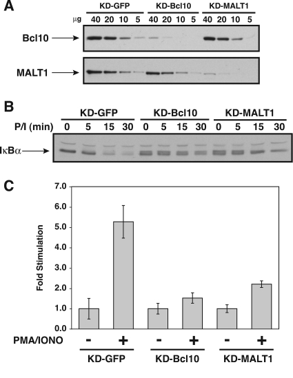 FIG. 13.