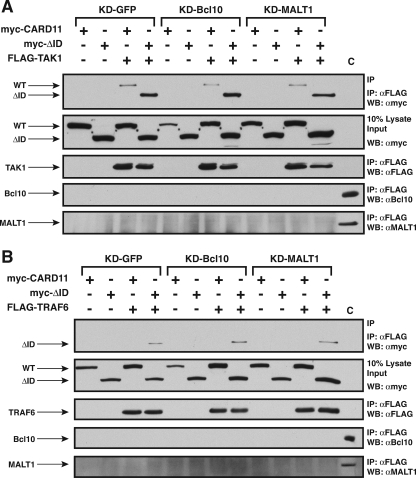 FIG. 11.