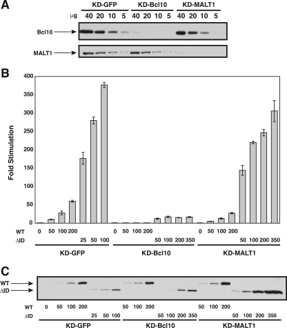 FIG. 10.