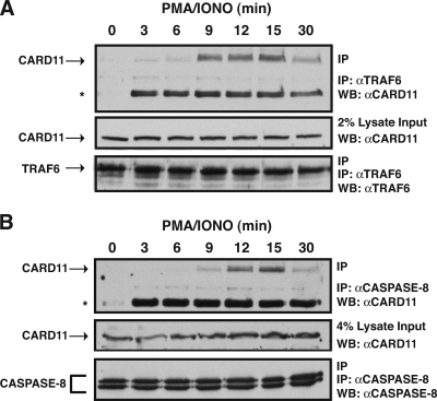 FIG. 6.