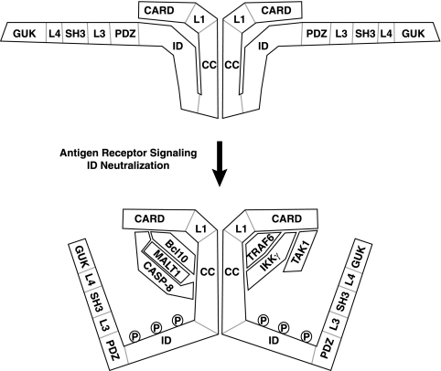 FIG. 15.