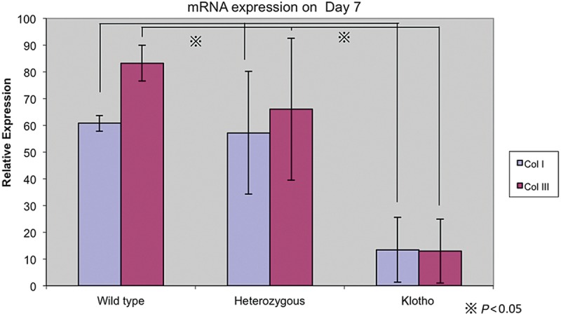 Figure 7.