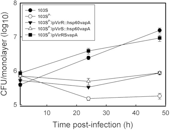 FIG 2