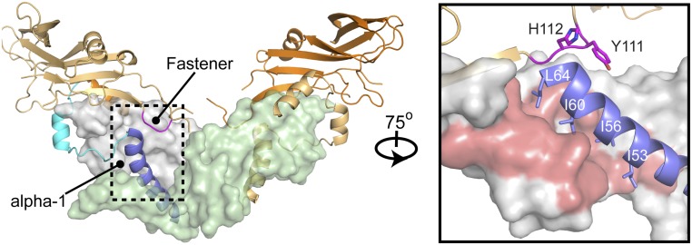 Fig. 6.