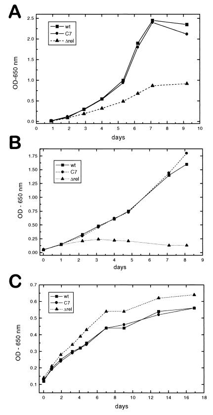 FIG. 3