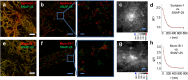 Fig. 3.