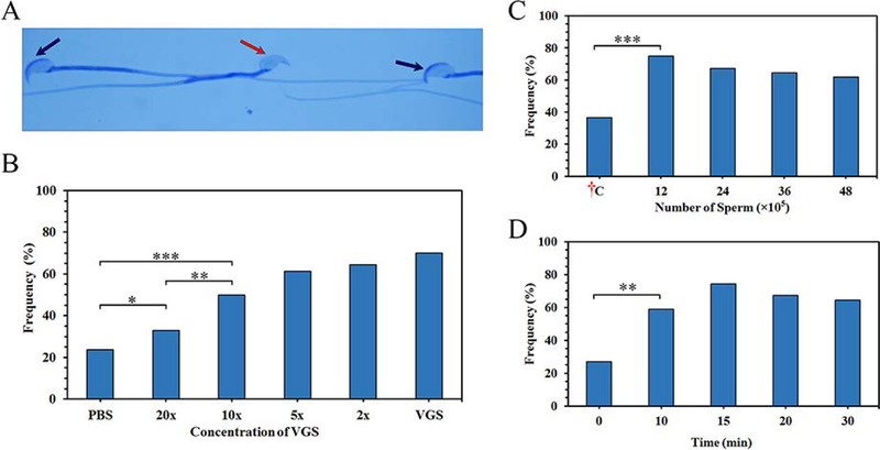 FIGURE 5: