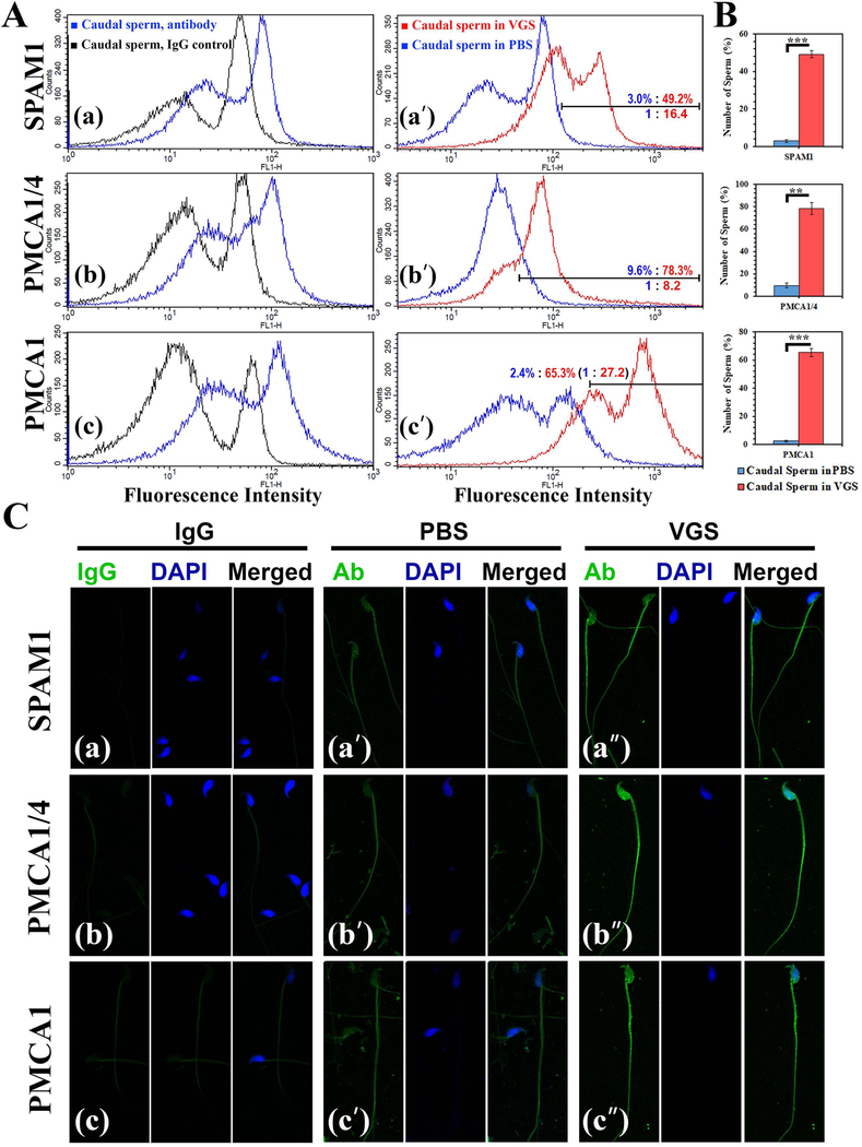 FIGURE 3: