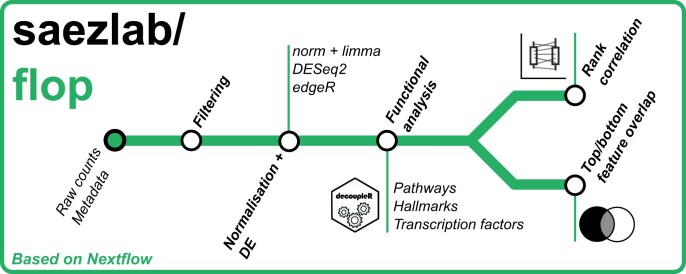 Graphical Abstract