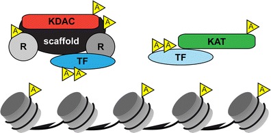 Fig. 2