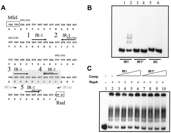 FIG. 5.