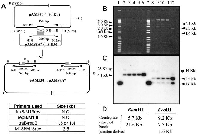 FIG. 2.