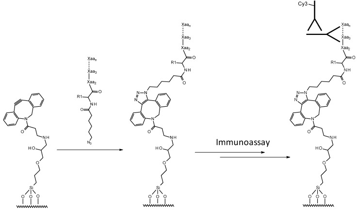 Scheme 2