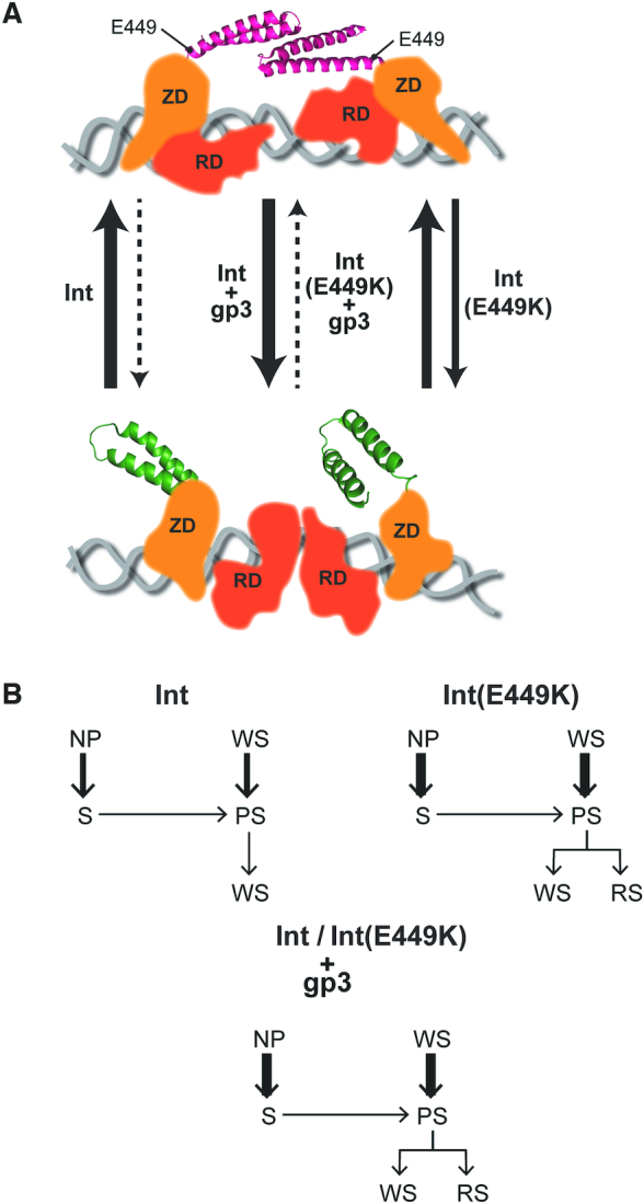 Figure 10.