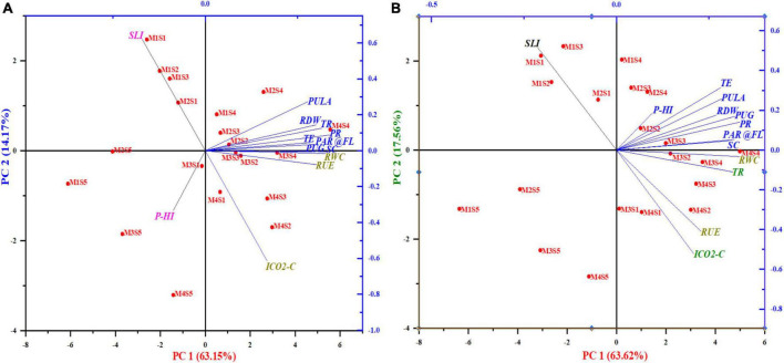 FIGURE 10