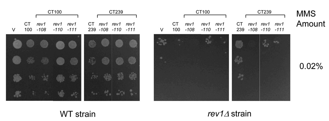 Fig. 7