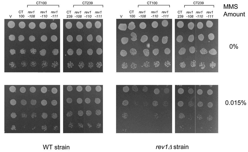 Fig. 7