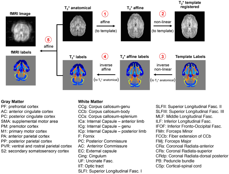 Figure 1: