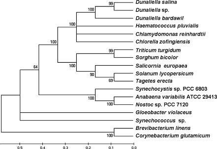 Fig. 4