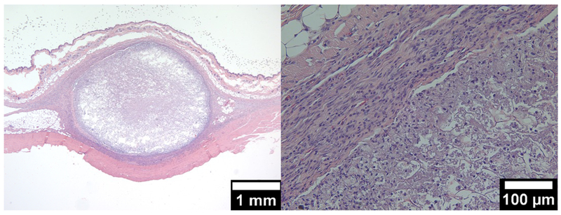 Figure 3: