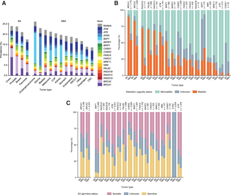 Figure 1. Pathogenic variants in HRR-associated genes in the overall cohort (divided by tumor types), including prevalence (A), biallelic/monoallelic status (B), and germline/somatic status (C). CUP, carcinoma of unknown primary origin; Germline/somatic status was limited to short variants.